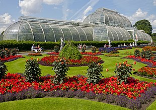310px-Flowers_in_front_of_the_Palm_House,_Kew_Gardens